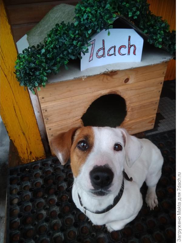 Поздравления из судиславской деревни!