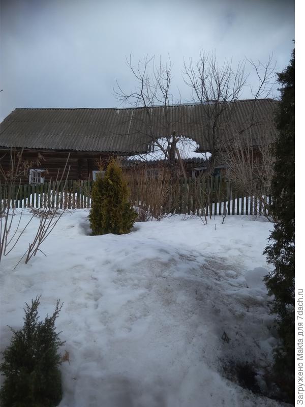 Это под крыльцом, сожалею, что старая яблоня обмерзла, всё же закрывала этот дом