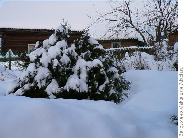 8 февраля
