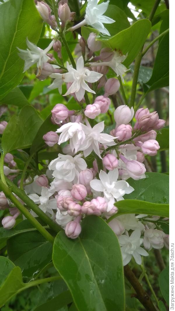 Поздравляю всех!