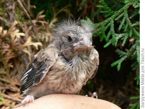 Поздравляем!