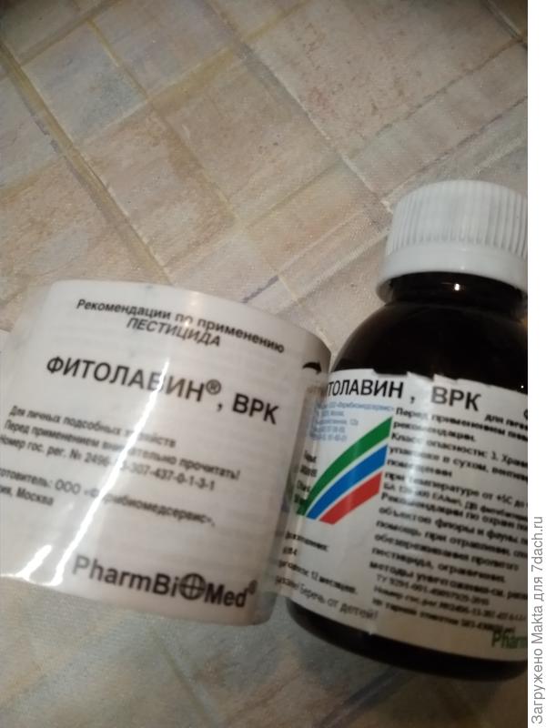 Настоящий Фитолавин