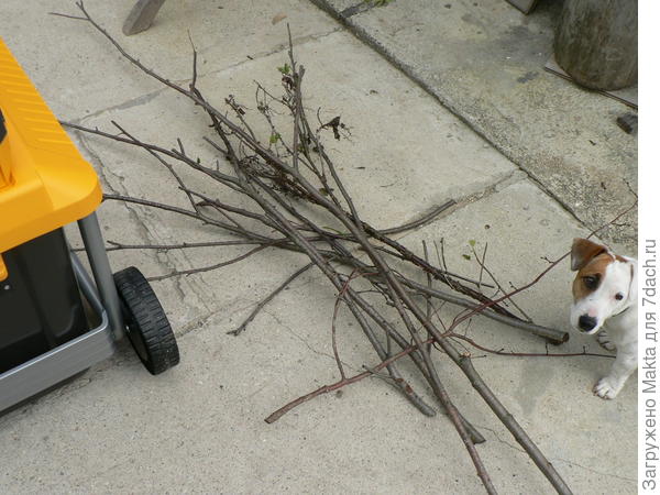 У Стиги два колеса