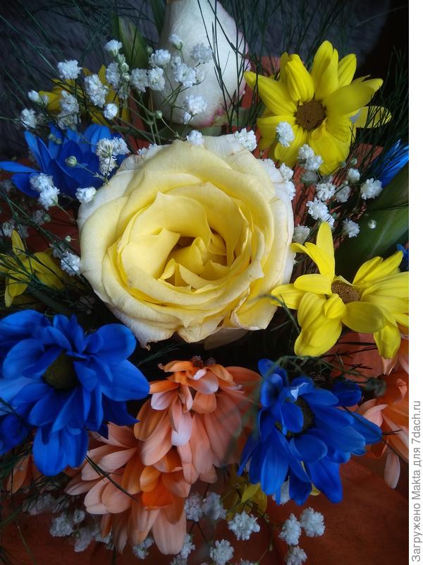 Поздравляю!