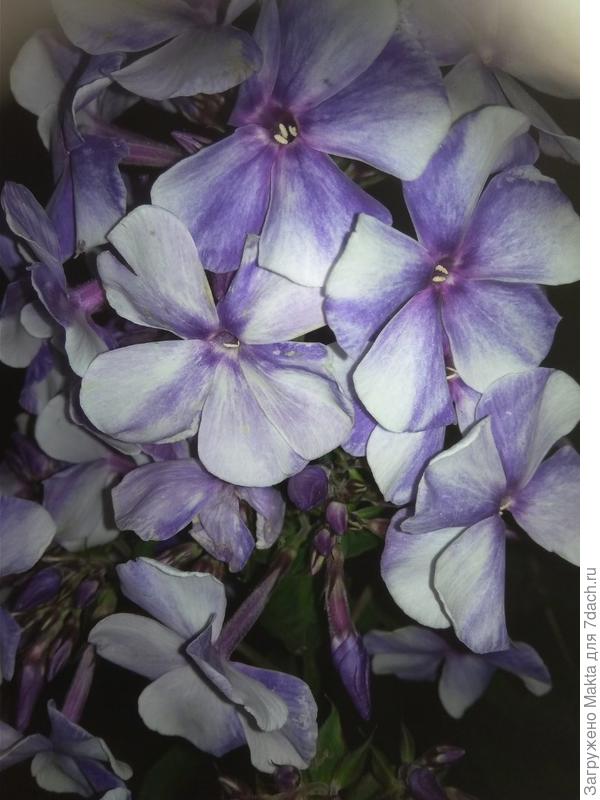 Поздравляю с победой в конкурсе!