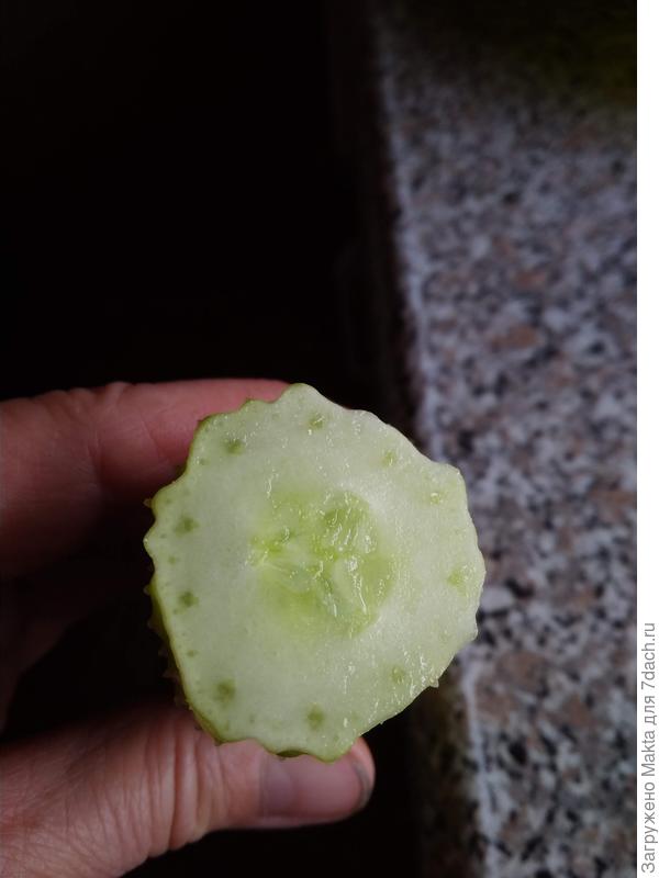 Ещё не дозрел!