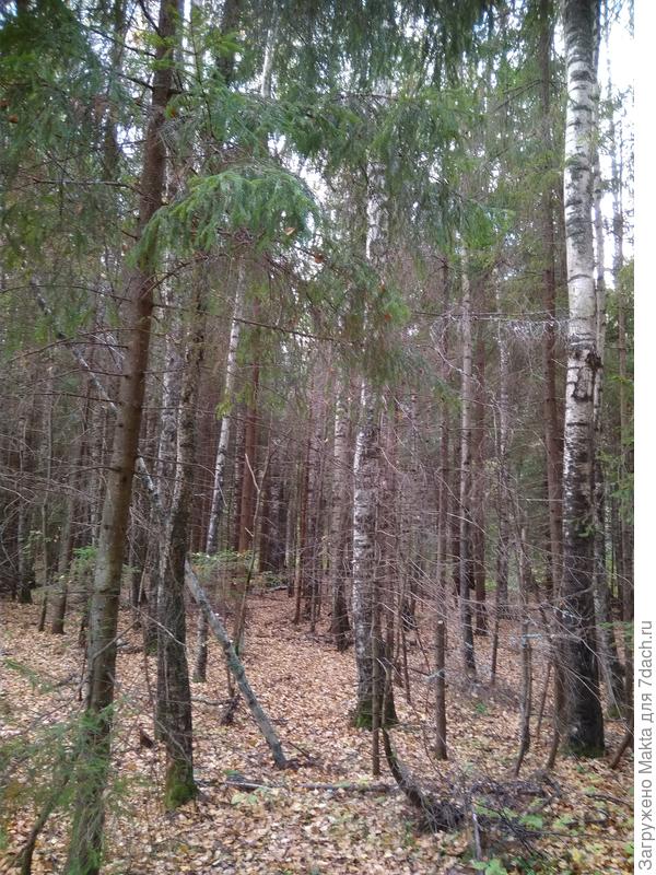 Также стало облачно, как три года назад