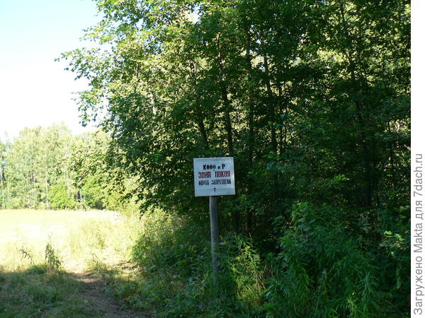 Зона покоя!!!