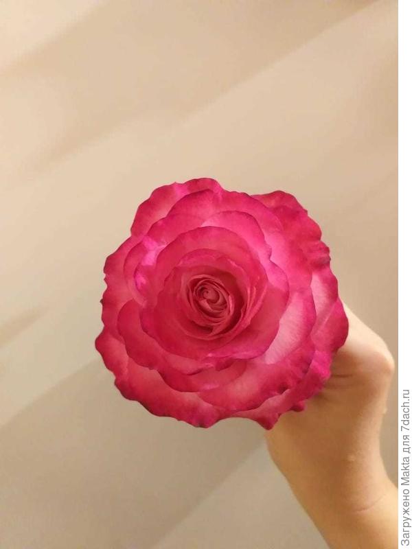 С Днём рождения!