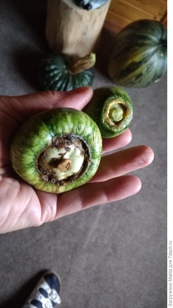 Эти со 2-го теста