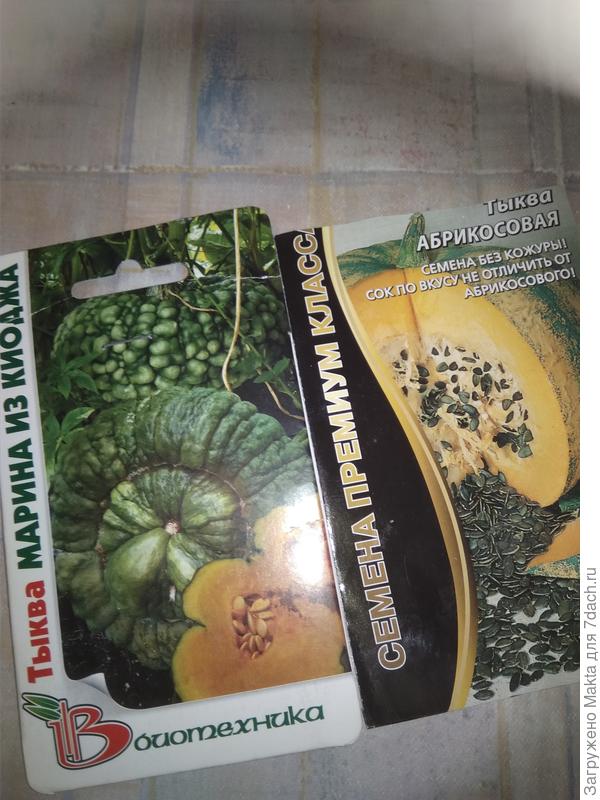 Внешне моя Марина похожа на ту, что с картинки