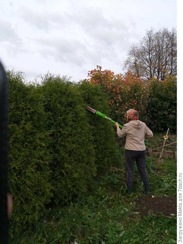 Стрижка между брабантами. Мой рост 161см))