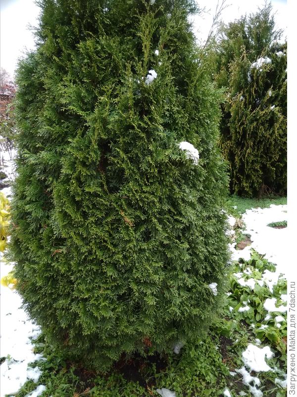 Внутри пусто))