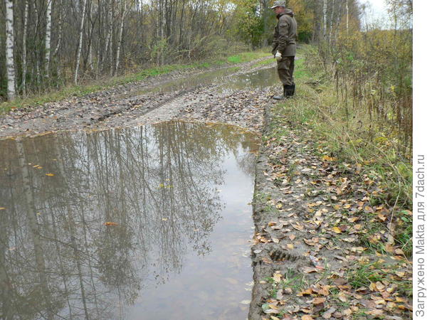 Эти следы с когтями впереди меня