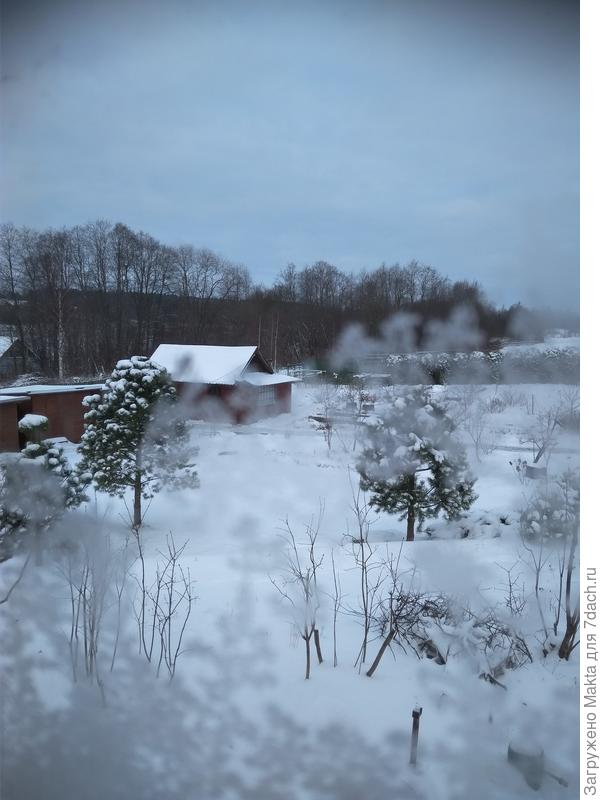 Сейчас у нас, из окна холодной веранды