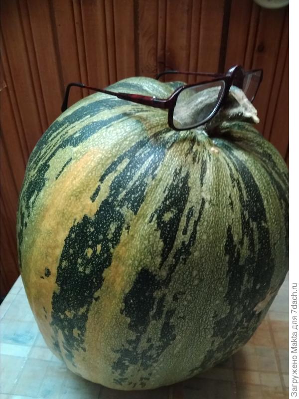 Абрикосовая