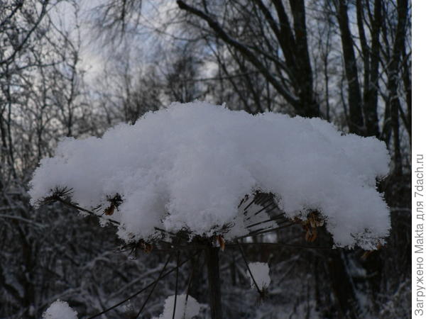 Пока ветер не сдул шапочку