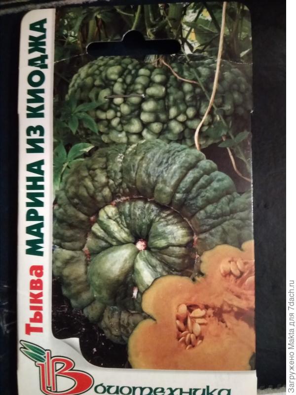 Ну, разве не похожа?!