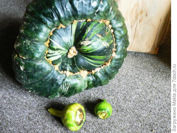 Что выросло, то выросло!