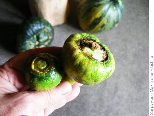 Эти плюгавенькие в роли "спичечного коробка". Вторая тыква дала только эти в августе