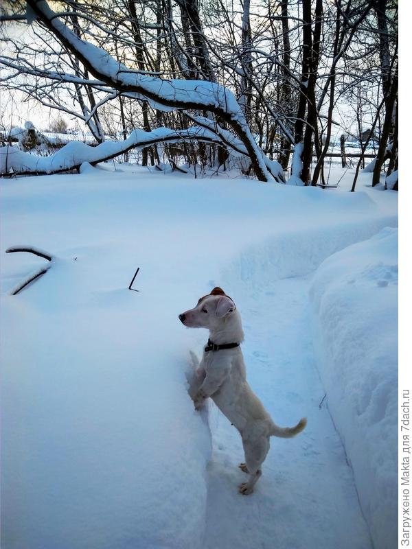 Ростом, конечно, маловата)))