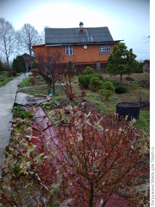 17 ноября. Крышу заклеили)))