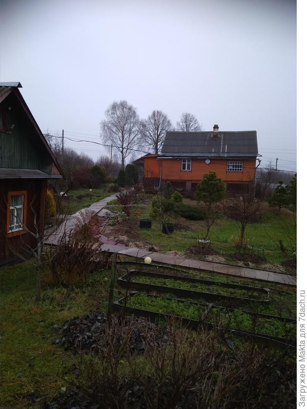 На подсыпке хорошо растет всё, в ней не живут мыши