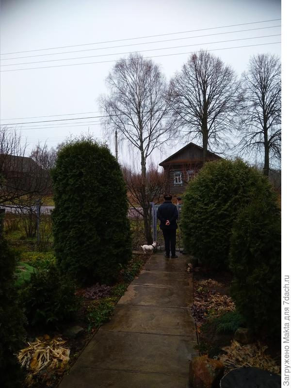 Сосед-художник приехал, болтают давно