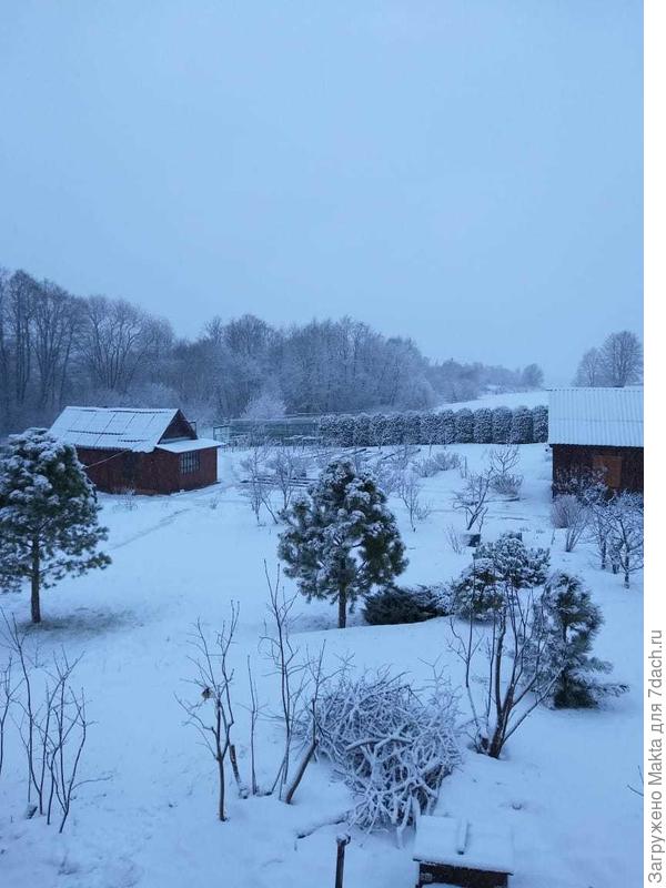 У нас в деревне вчера