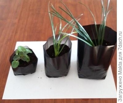 Светостабилизированные пакеты для рассады