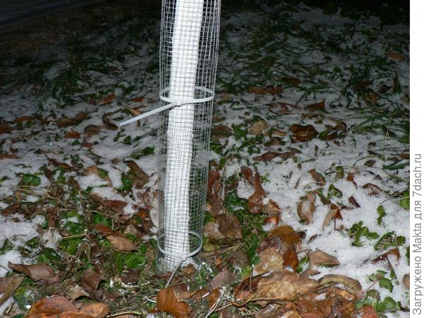 Фото старое, поздняя осень