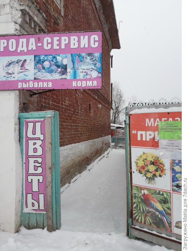 Там, за поворотом... дверь в темный полуподвальчик