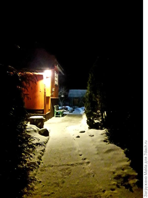 Тишина у нас. Дорожка от калитки к крыльцу