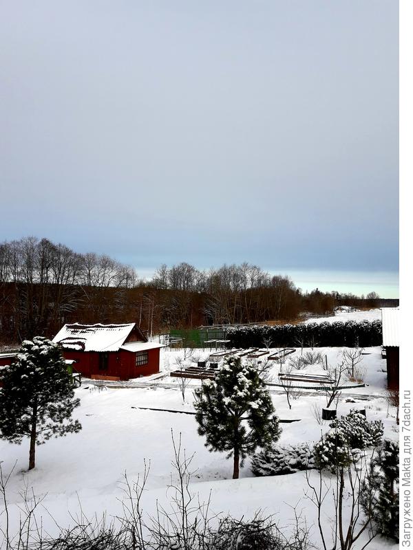 Утром сегодня