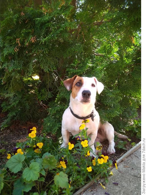 Стешка в тенёчке