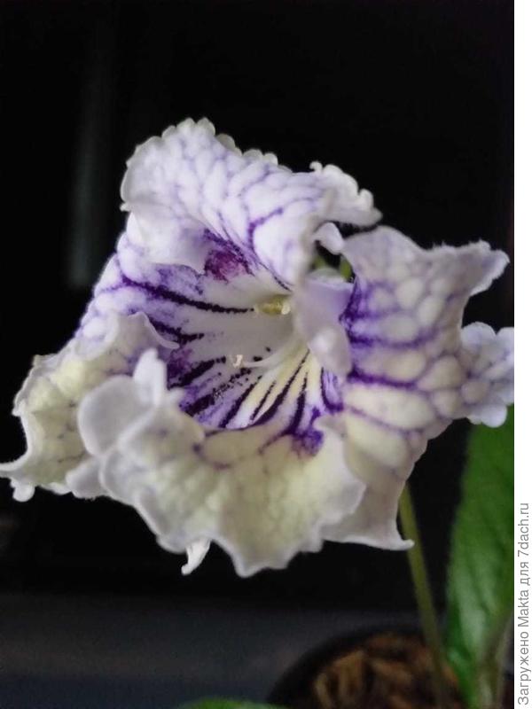 Спасибо всем!!!