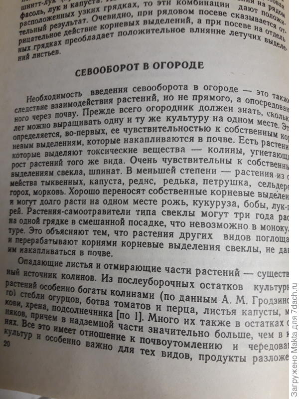 Без лишних слов