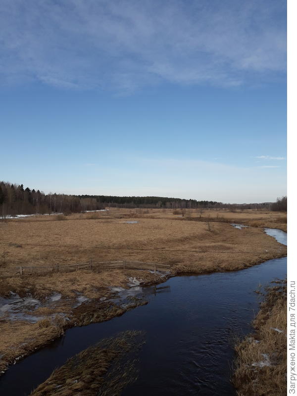 Снег по краю прибрежного леса