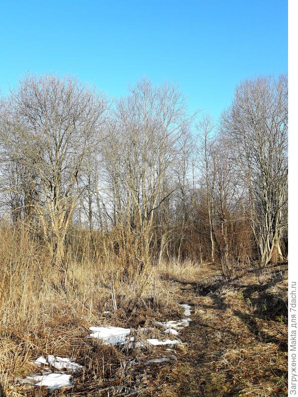 За участком еще снежок.