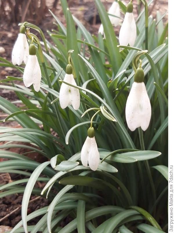 Поздравляю!