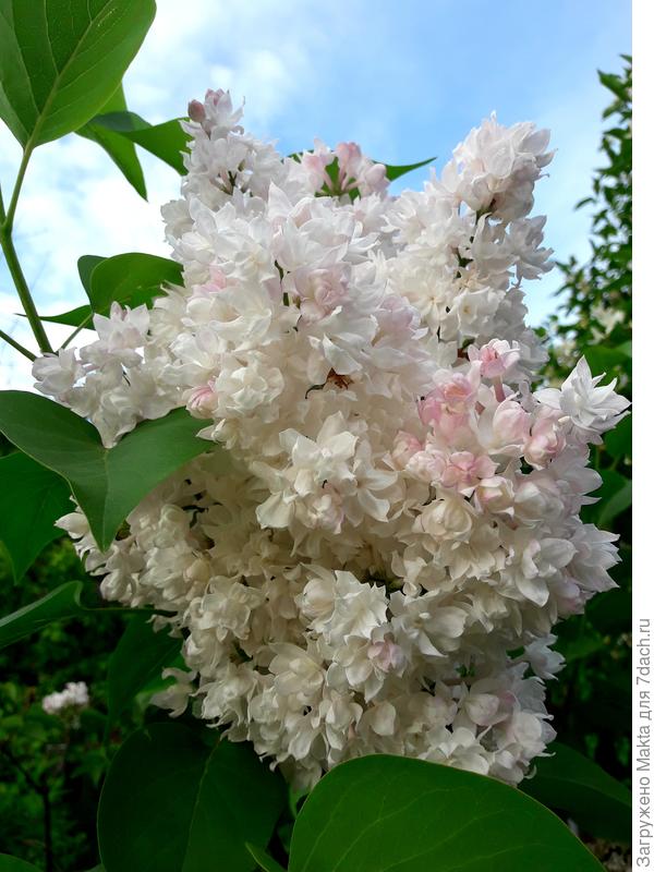 С праздником!