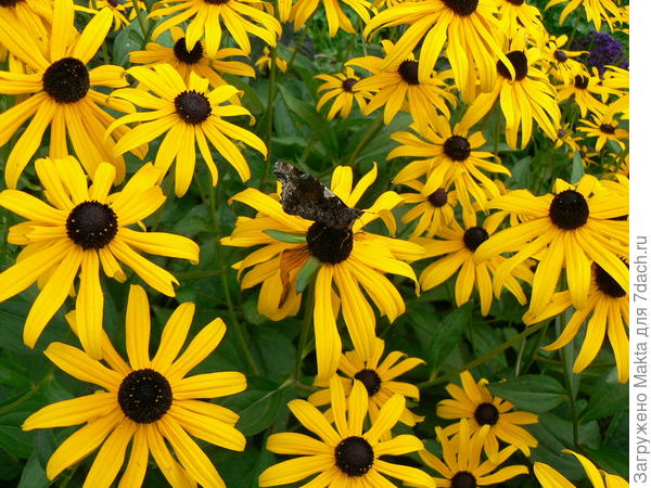 И совсем не заметен!