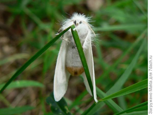 Поразил взгляд