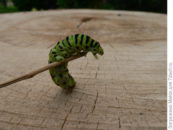 Я ей была не страшна!