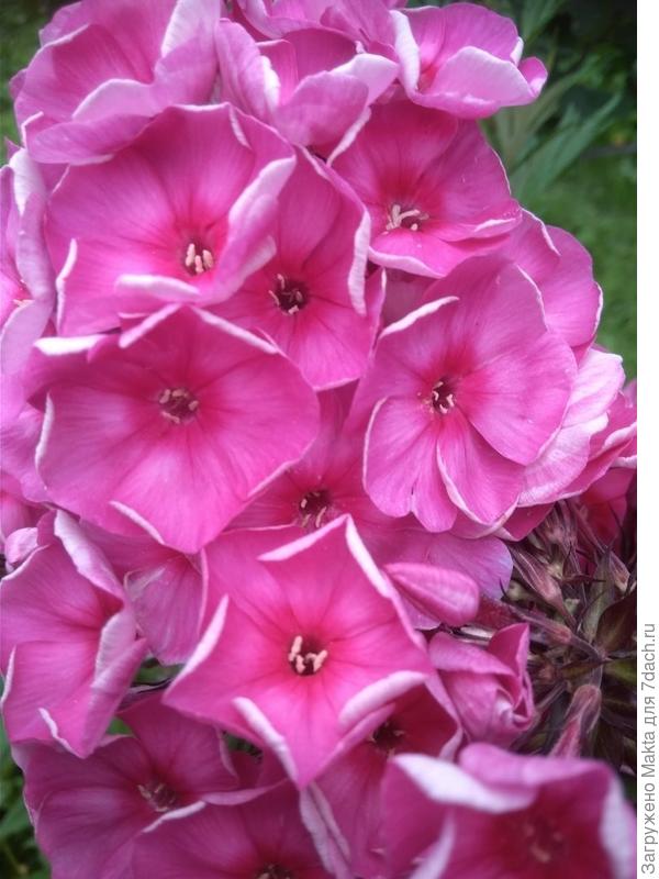 Тоже подарок