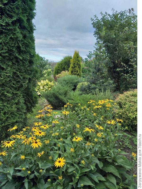 Один из уголков