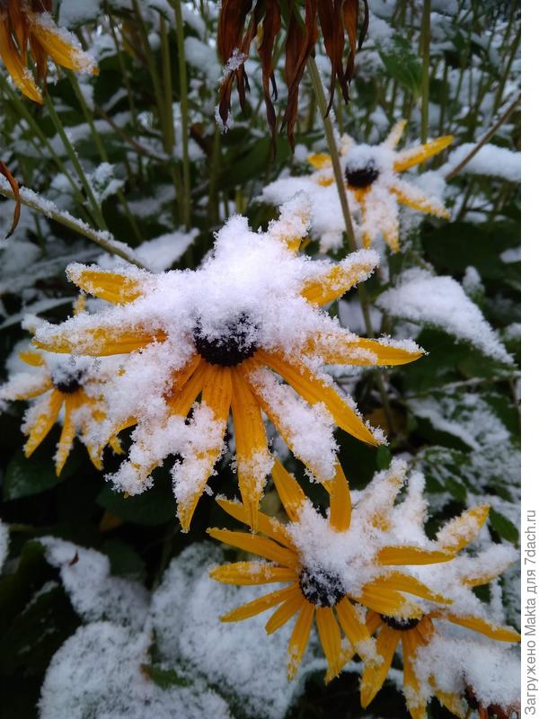 6 октября 2019 г.