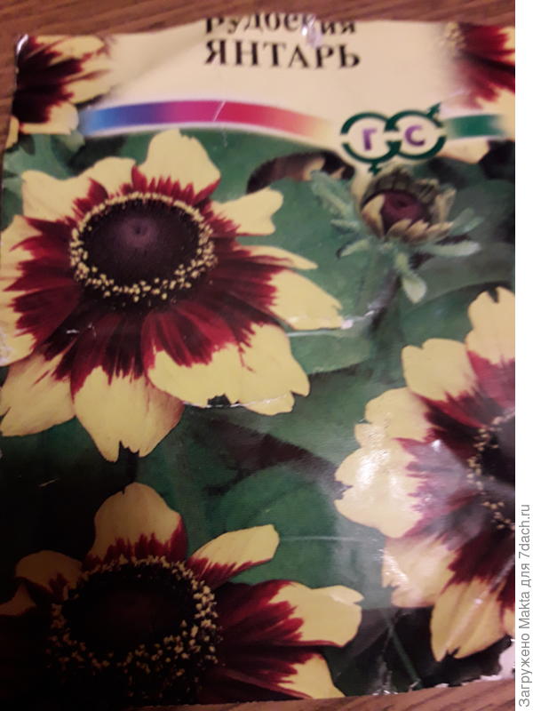 &quot;Гавриш&quot; умеет &quot;удивить&quot;