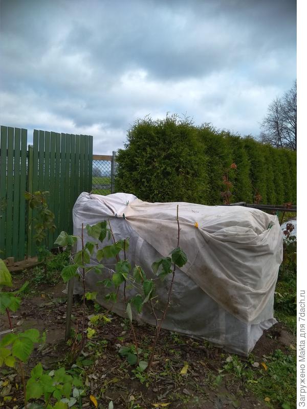 13 октября 2019