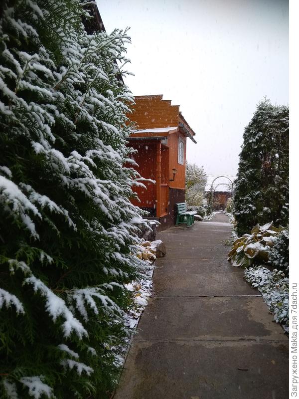 А это 6 октября